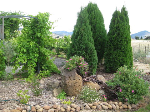 Taras Richmond Farmstay - Holiday Adelaide 23