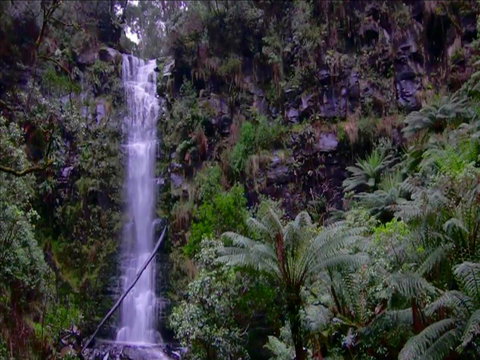 Great Ocean Road Resort - Holiday Adelaide 16