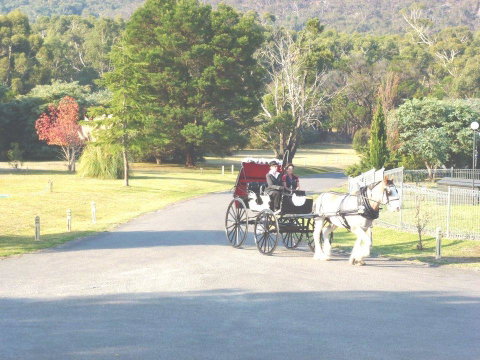 The Grampians Motel - Holiday Adelaide 24