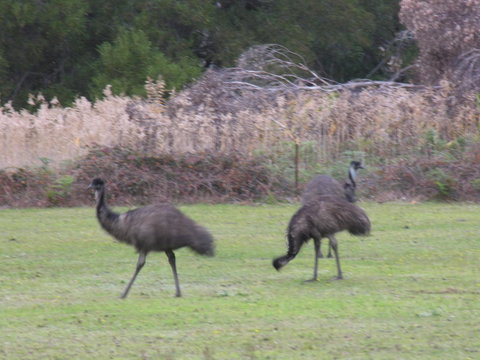 The Grampians Motel - Holiday Adelaide 22