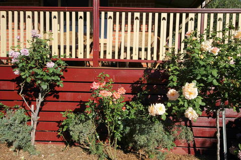 Oxford Rise Apartment - Holiday Adelaide 21