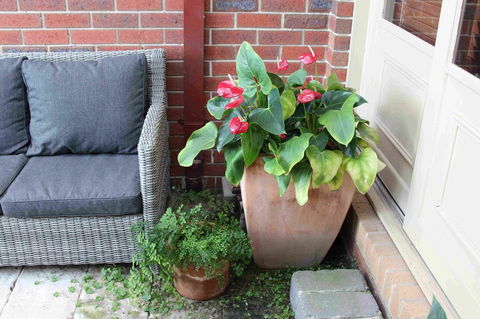 Oxford Rise Apartment - Holiday Adelaide 16