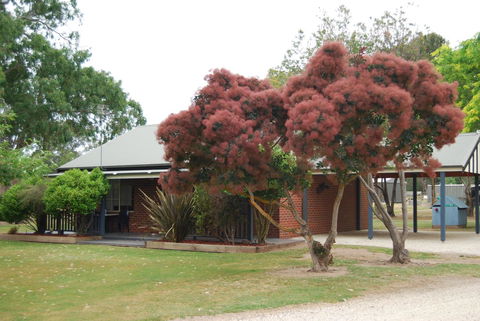 Greenvale Holiday Units - Holiday Adelaide 9