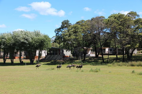 Halls Gap Lakeside Tourist Park - Holiday Adelaide 1