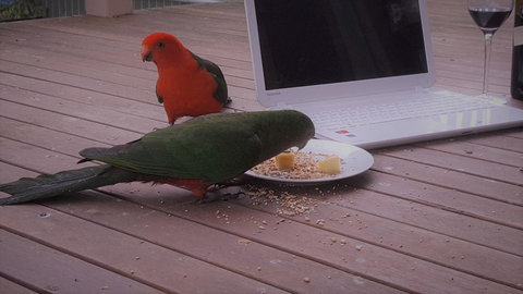 Wilsons Promontory Motel - Holiday Adelaide 12