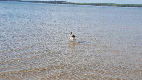 Wilsons Promontory Motel - Holiday Adelaide 35