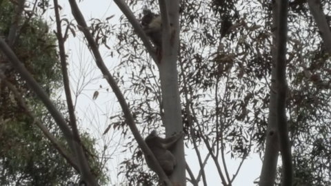 Wilsons Promontory Motel - Holiday Adelaide 28