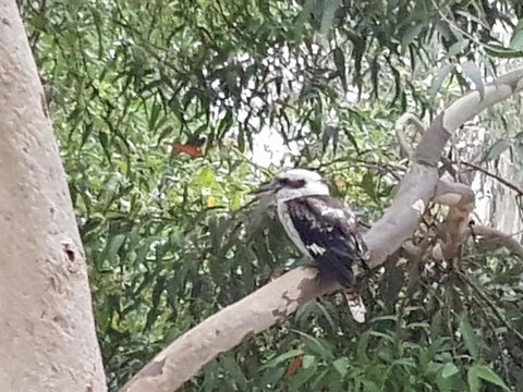 Wilsons Promontory Motel - Holiday Adelaide 26