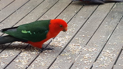 Wilsons Promontory Motel - Holiday Adelaide 27