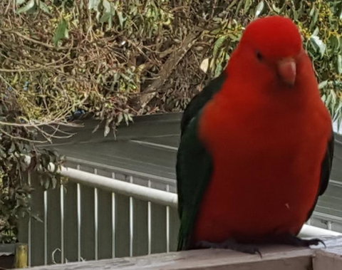 Wilsons Promontory Motel - Holiday Adelaide 23