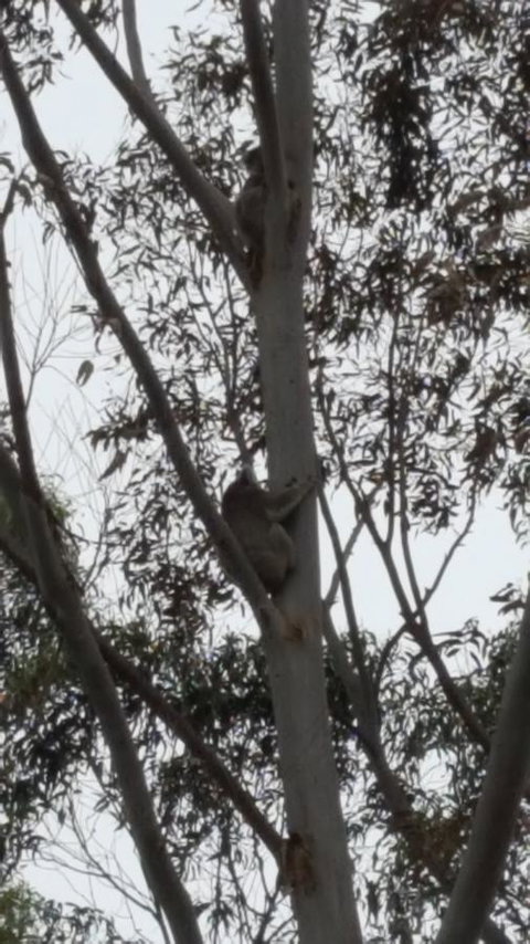 Wilsons Promontory Motel - Holiday Adelaide 29