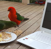 Wilsons Promontory Motel - Holiday Adelaide