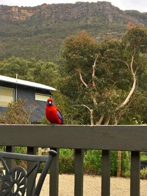 Kangurra Holiday House - Holiday Adelaide 15
