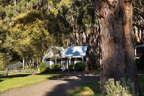 Bodhi Daylesford - Holiday Adelaide 8