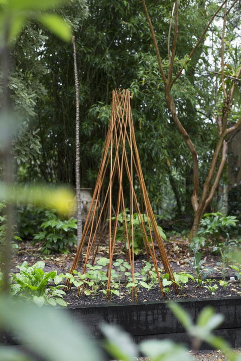 Botanica Editions - Holiday Adelaide 23