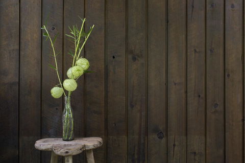 Botanica Editions - Holiday Adelaide 10
