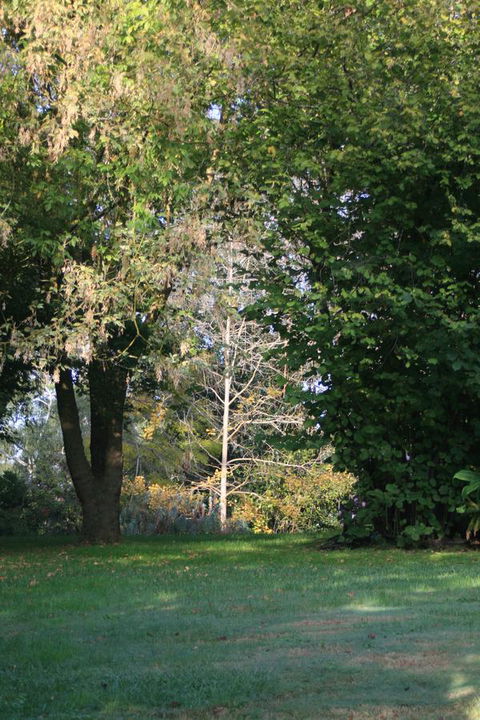 Strathmore Farm B&B - Holiday Adelaide 26