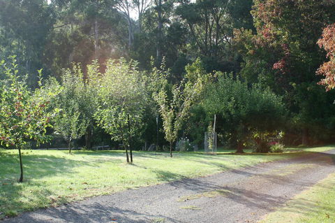 Strathmore Farm B&B - Holiday Adelaide 33