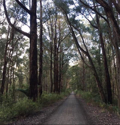 Strathmore Farm B&B - Holiday Adelaide 4