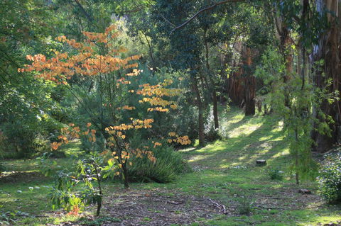 Strathmore Farm B&B - Holiday Adelaide 25