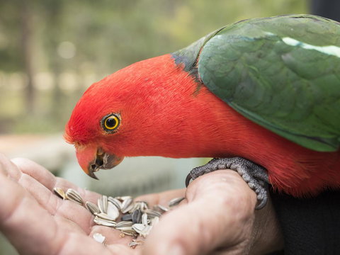 Gipsy Point Lodge & Cottages - Holiday Adelaide 17