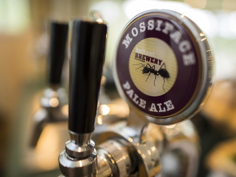 Gipsy Point Lodge & Cottages - Holiday Adelaide 16