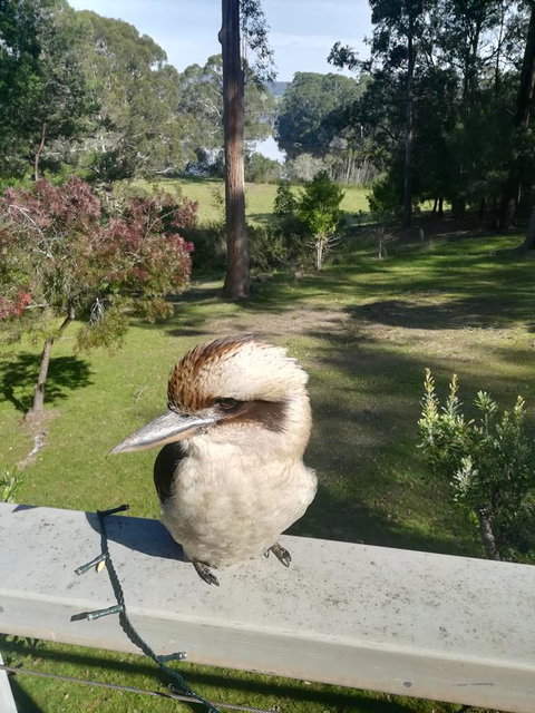 Gipsy Point Lodge & Cottages - Holiday Adelaide 8