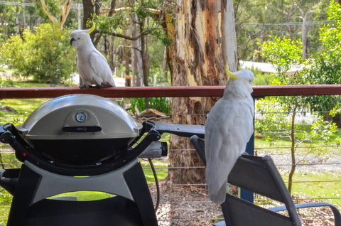 Blue Ridge Retreat - Holiday Adelaide 3