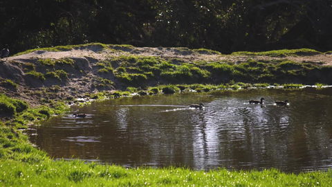 Limosa Rise - Holiday Adelaide 15