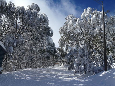 Maisonettes Falls Creek - Holiday Adelaide 17