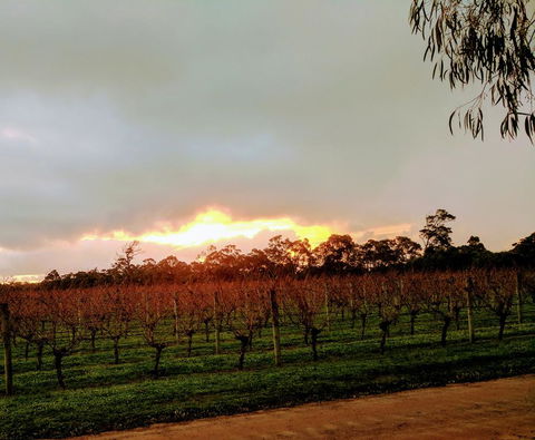 The Grove Distillery & Brewery - Holiday Adelaide 2