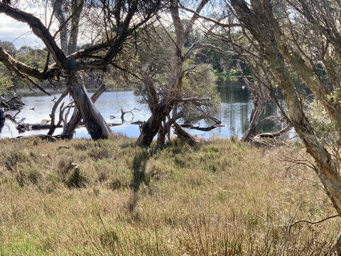 The Lake House - Holiday Adelaide 0