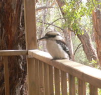 The Ledge Holiday House - Holiday Adelaide