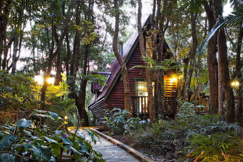 The Mouses House Rainforest Retreat - Holiday Adelaide 1