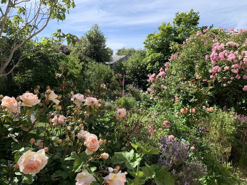 The Racecourse Inn - Holiday Adelaide 2