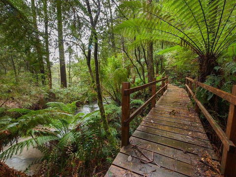 The Source, Otways - Holiday Adelaide 0
