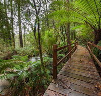 The Source Otways - Holiday Adelaide