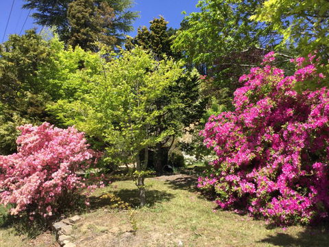 The Wentworth Retreat - Holiday Adelaide 1