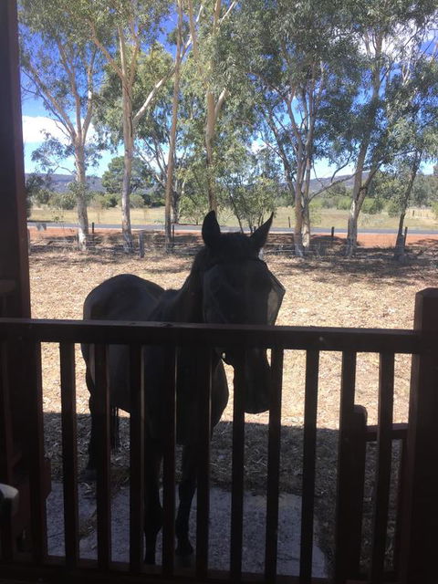 Thie My Chree Retreat - Holiday Adelaide 3