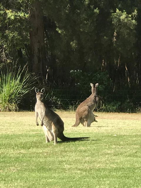 Tinglewood Cabins - Holiday Adelaide 2