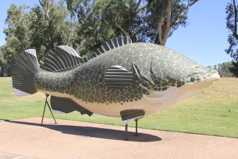 Tocumwal Hotel Motel (The Palms) - Holiday Adelaide 1