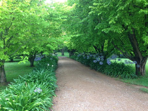 Toscana On Greenhills - Holiday Adelaide 1