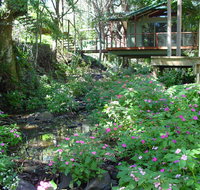 Treetops Montville - Holiday Adelaide