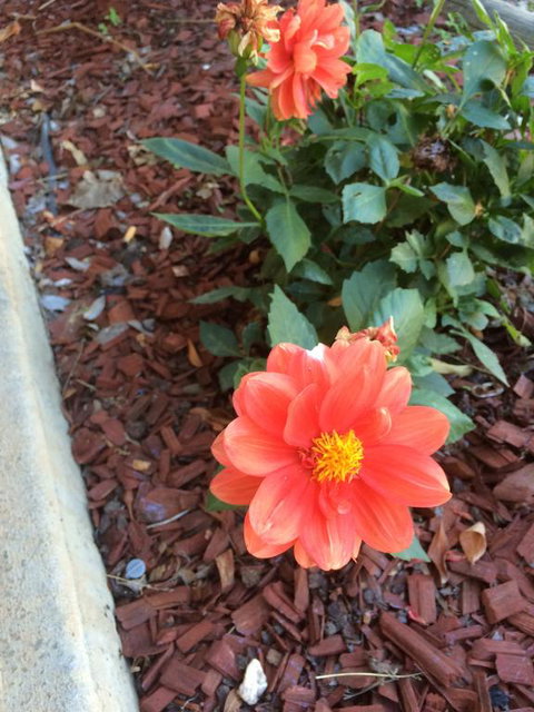 Tumut Valley Motel - Holiday Adelaide 1