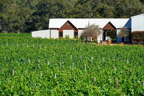 Upper Reach Spa Cottage - Holiday Adelaide 0