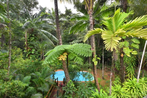 Wait A While Daintree - Holiday Adelaide 3