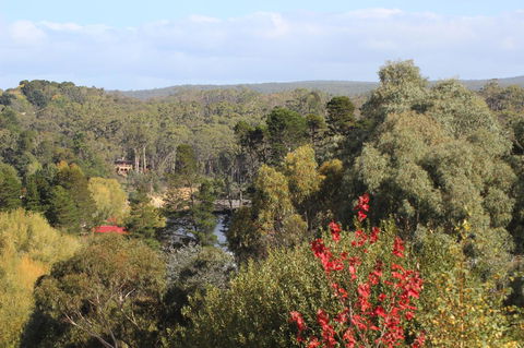 The Orchard - Holiday Adelaide 28