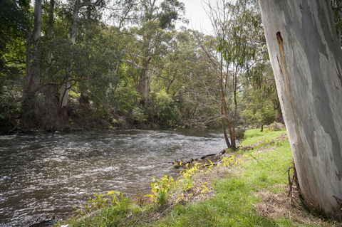 Oscar\'s On The Yarra - Holiday Adelaide 23