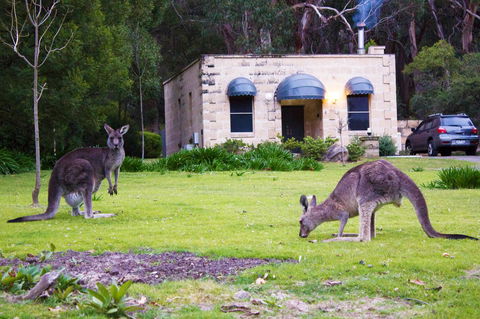 Marwood Villas - Holiday Adelaide 0