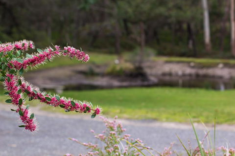 Marwood Villas - Holiday Adelaide 35